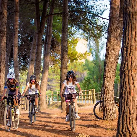 Casa Per Vacanze In Riva Al Mare * Pineto