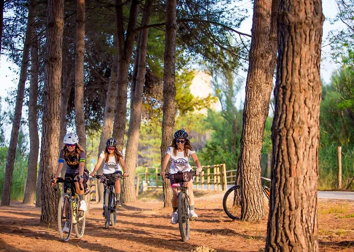 Casa Per Vacanze In Riva Al Mare * Pineto